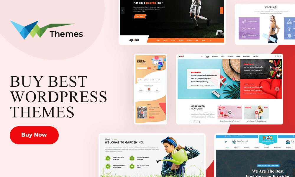 Buy WordPress Themes