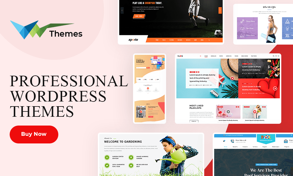 Professional WordPress Themes